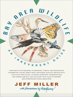 cover image of Bay Area Wildlife